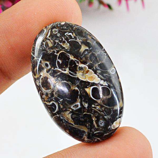 gemsmore:Natural Amazing Oval Shape Turritella Agate Untreated Loose Gemstone