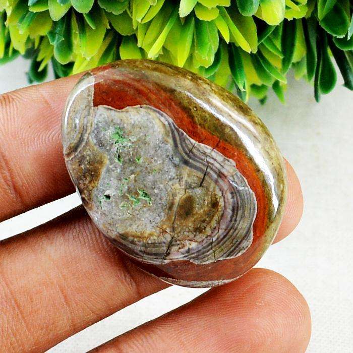 gemsmore:Natural Amazing Polygram Jasper Untreated Loose Gemstone