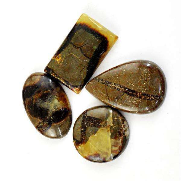 gemsmore:Natural Amazing Septarian Agate Untreated Loose Gemstone Lot