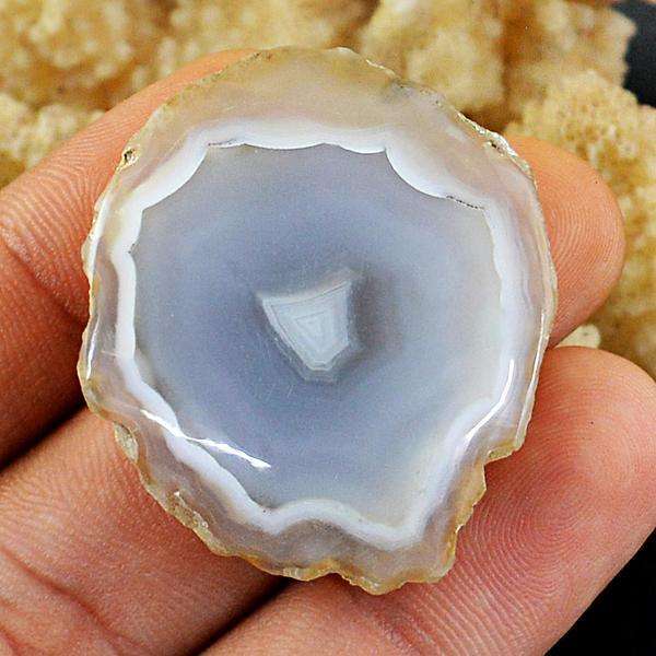 gemsmore:Natural Amazing Slice Agate Untreated Loose Gemstone