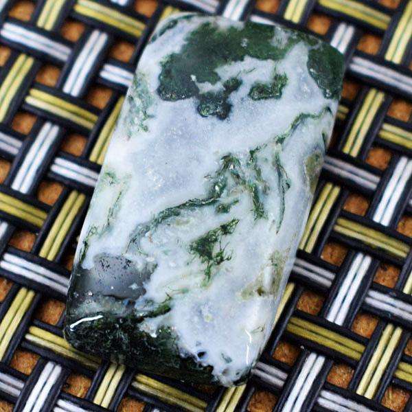 gemsmore:Natural Amazing Tree Agate Untreated Loose Gemstone