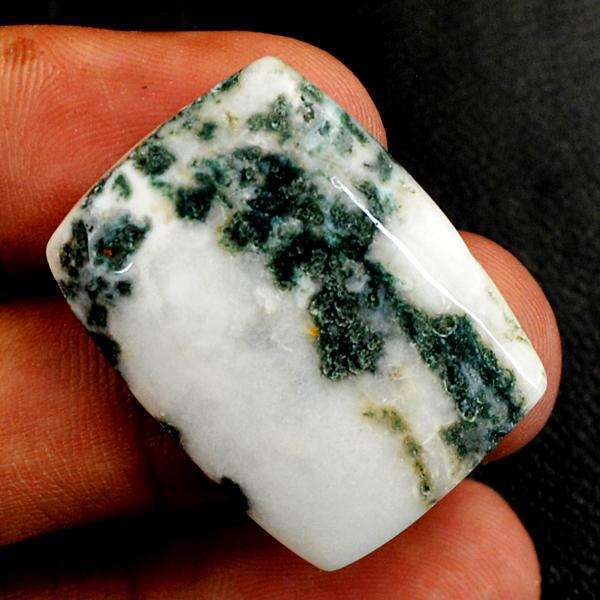 gemsmore:Natural Amazing Tree Agate Untreated Loose Gemstone