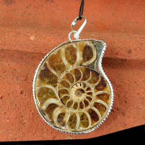 gemsmore:Natural Ammonite Artistic AAA Pendant