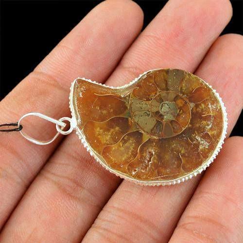 gemsmore:Natural Ammonite Exclusive Pendant