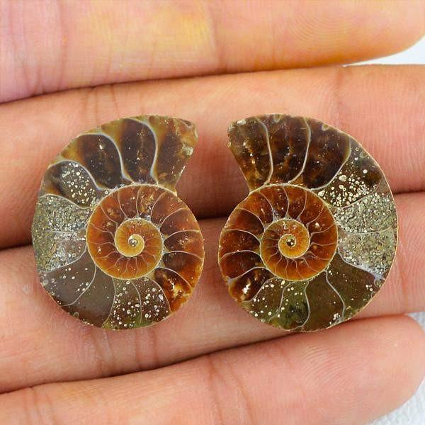 gemsmore:Natural Ammonite Gemstone Pair