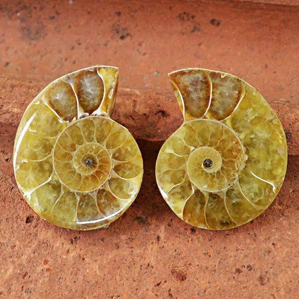 gemsmore:Natural Ammonite Gemstone Pair