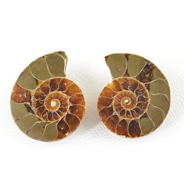 gemsmore:Natural Ammonite Gemstone Pair