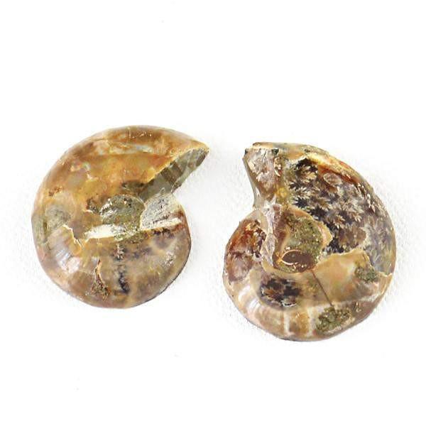 gemsmore:Natural Ammonite Gemstone Pair