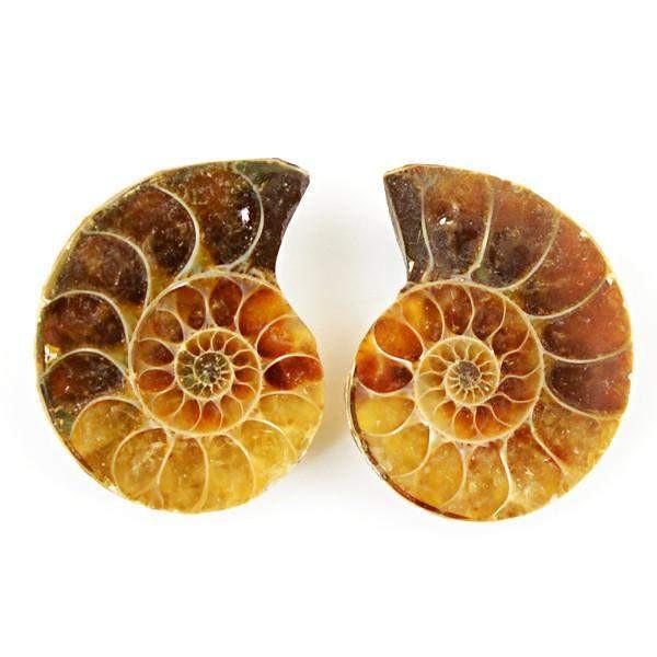 gemsmore:Natural Ammonite Genuine Gemstone Pair