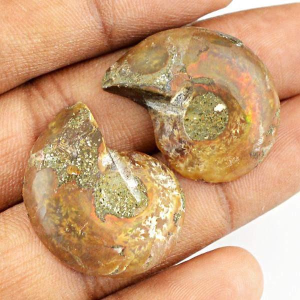 gemsmore:Natural Ammonite Genuine Gemstone Pair