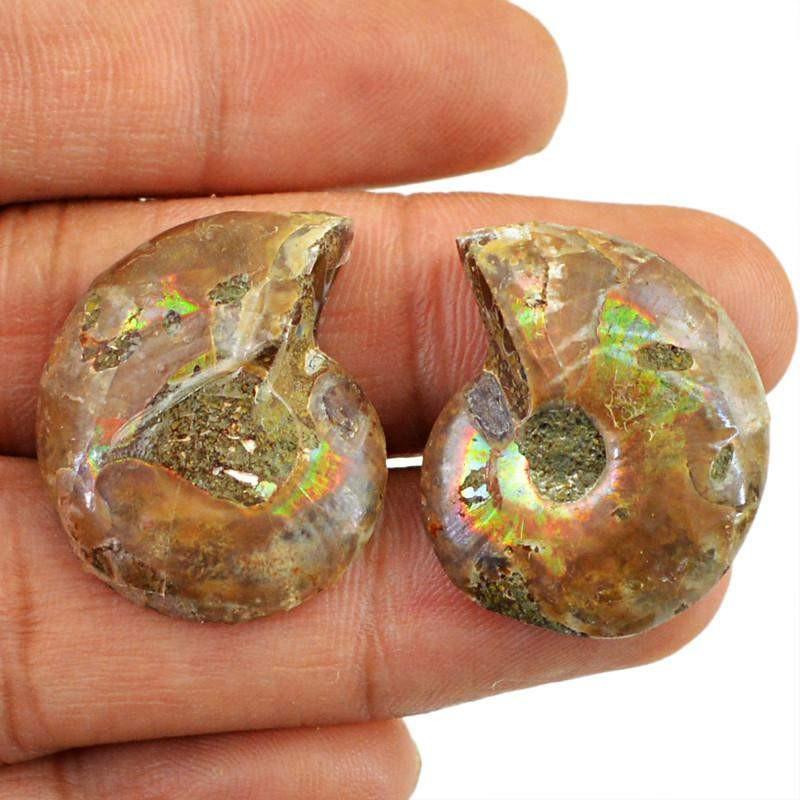 gemsmore:Natural Ammonite Loose Gemstone Pair