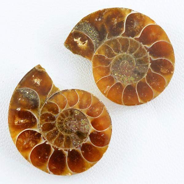 gemsmore:Natural Ammonite Unheated Gems Pair