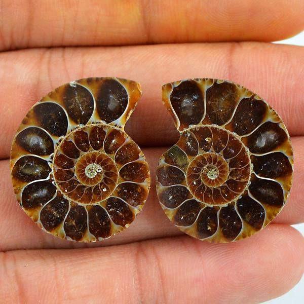 gemsmore:Natural Ammonite Unheated Gemstone Pair