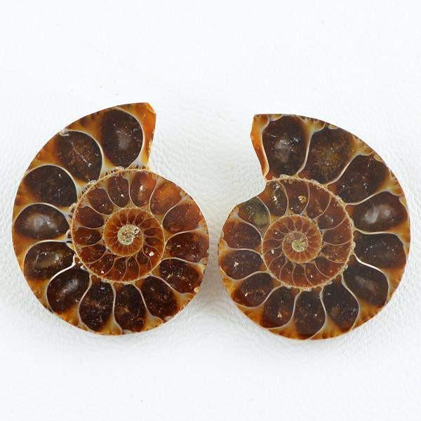 gemsmore:Natural Ammonite Unheated Gemstone Pair