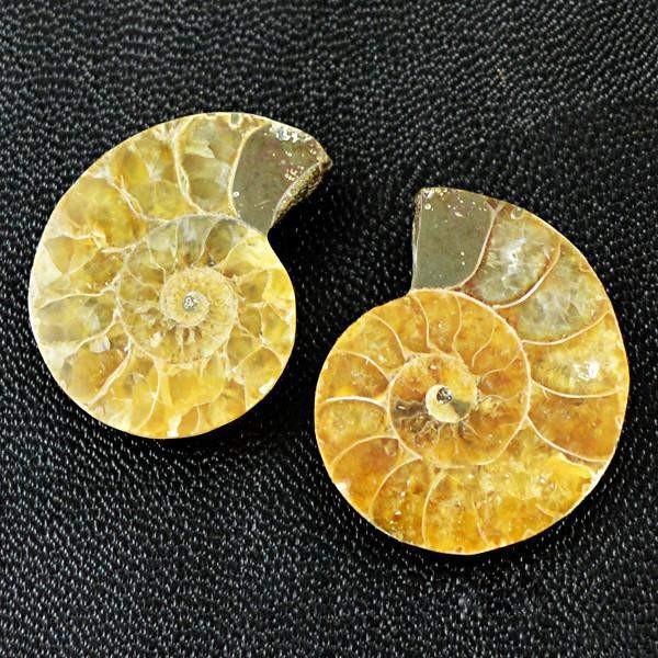 gemsmore:Natural Ammonite Untreated Gemstone Pair