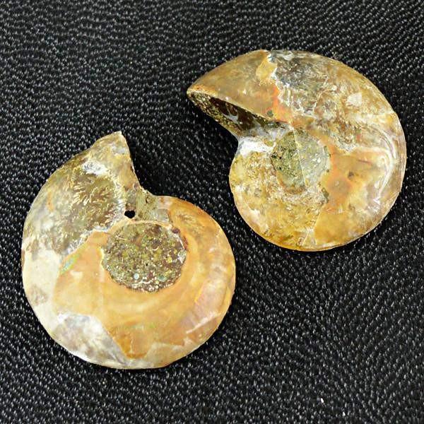 gemsmore:Natural Ammonite Untreated Gemstone Pair