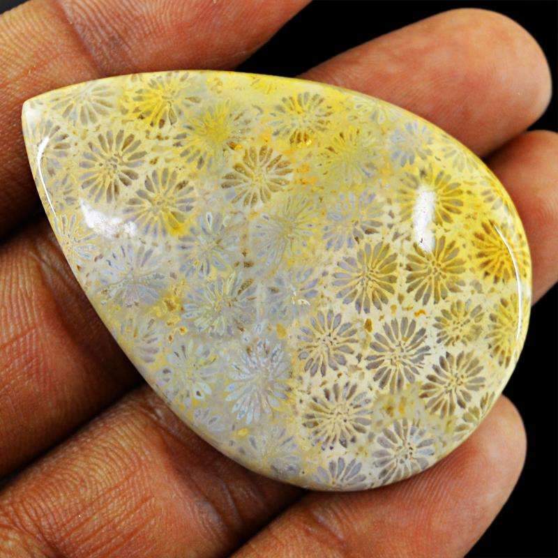 gemsmore:Natural Coral Fossil Gemstone - Genuine Pear Shape