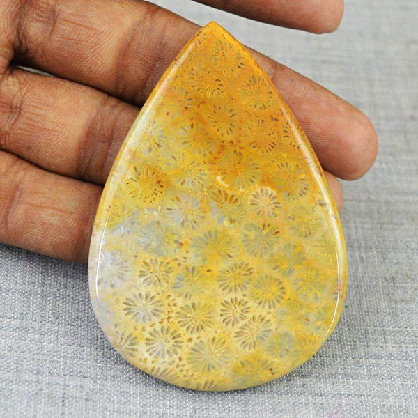 gemsmore:Natural Coral Fossil Gemstone - Pear Shape