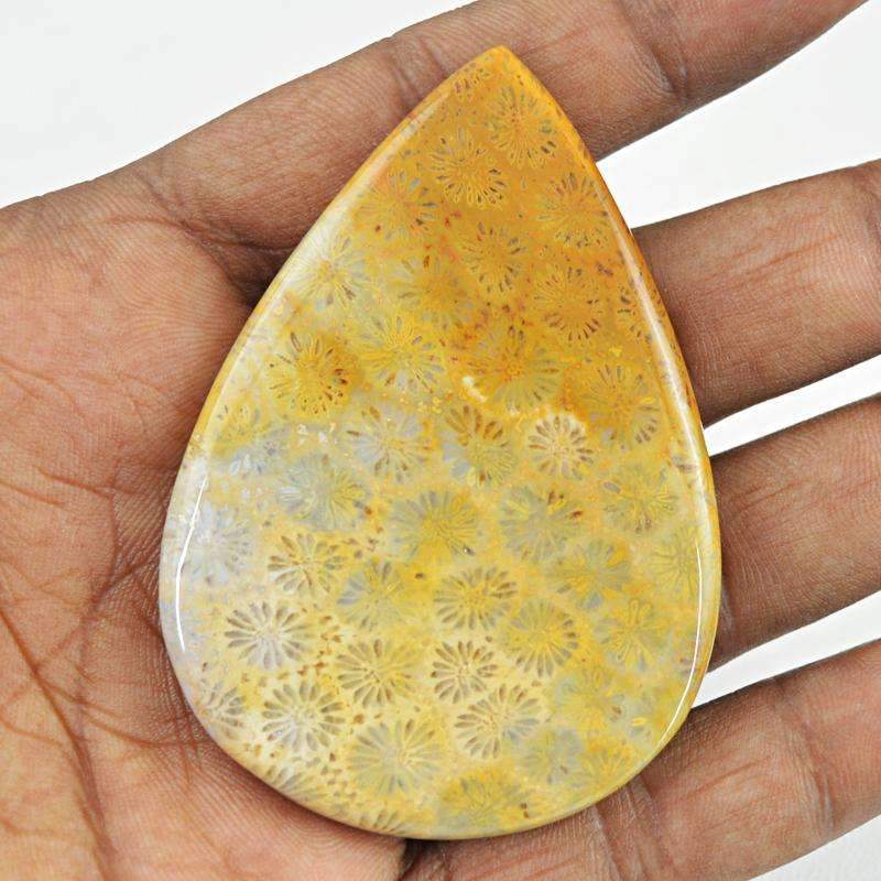 gemsmore:Natural Coral Fossil Gemstone - Pear Shape