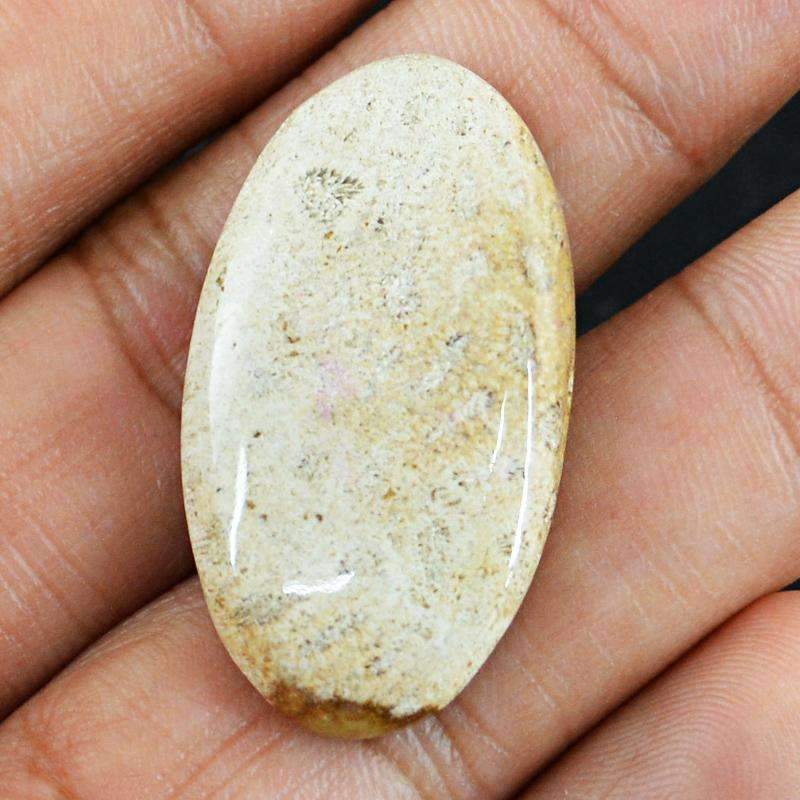 gemsmore:Natural Coral Fossil Gemstone - Unheated Oval Shape