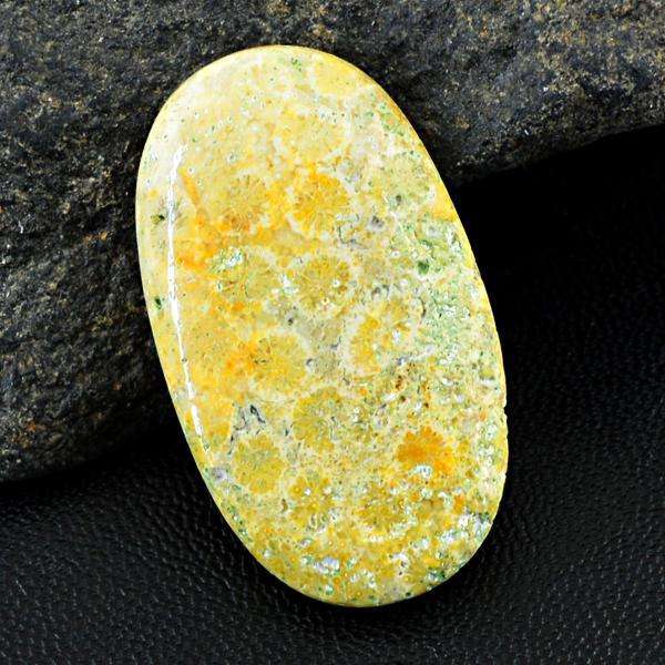 gemsmore:Natural Coral Fossil Oval Shape Loose Gemstone