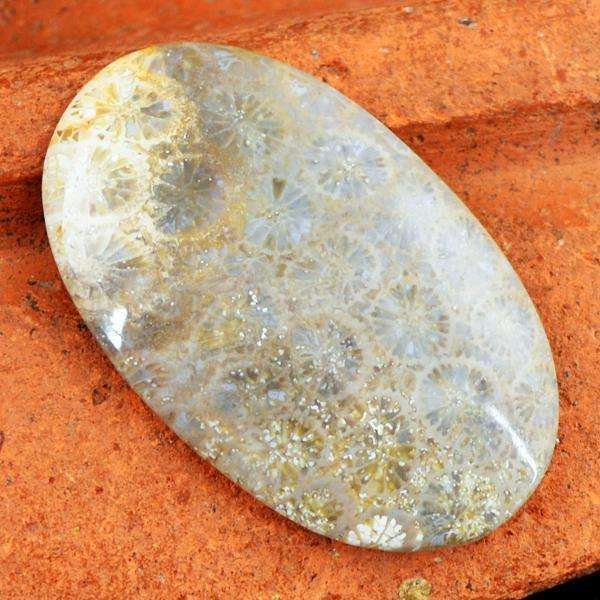 gemsmore:Natural Coral Fossil Oval Shape Loose Gemstone