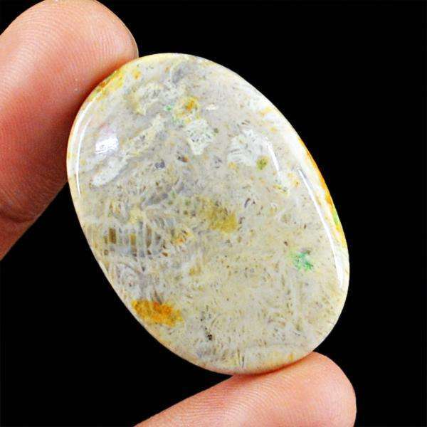 gemsmore:Natural Coral Fossil Oval Shape Loose Gemstone