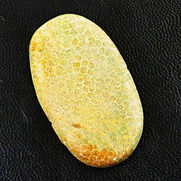 gemsmore:Natural Coral Fossil Oval Shape Untreated Loose Gemstone