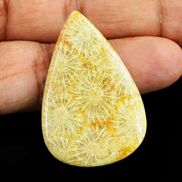 gemsmore:Natural Coral Fossil Pear Shape Loose Gemstone