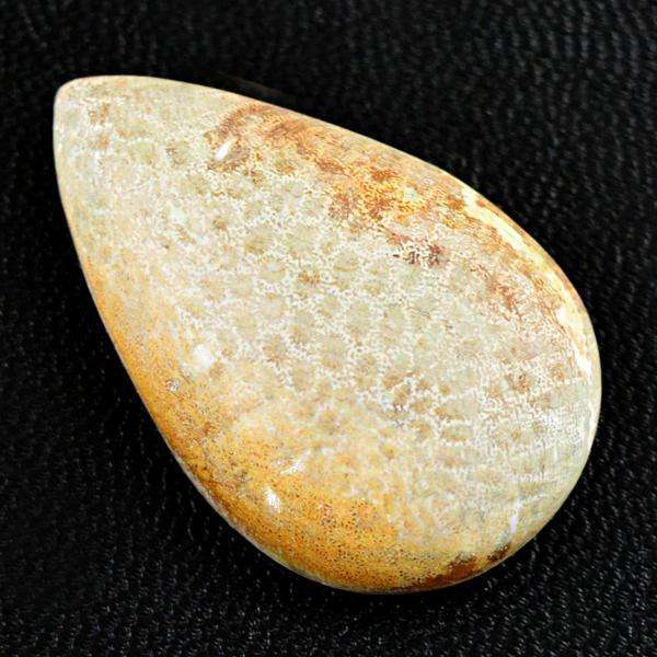 gemsmore:Natural Coral Fossil Pear Shape Untreated Loose Gemstone