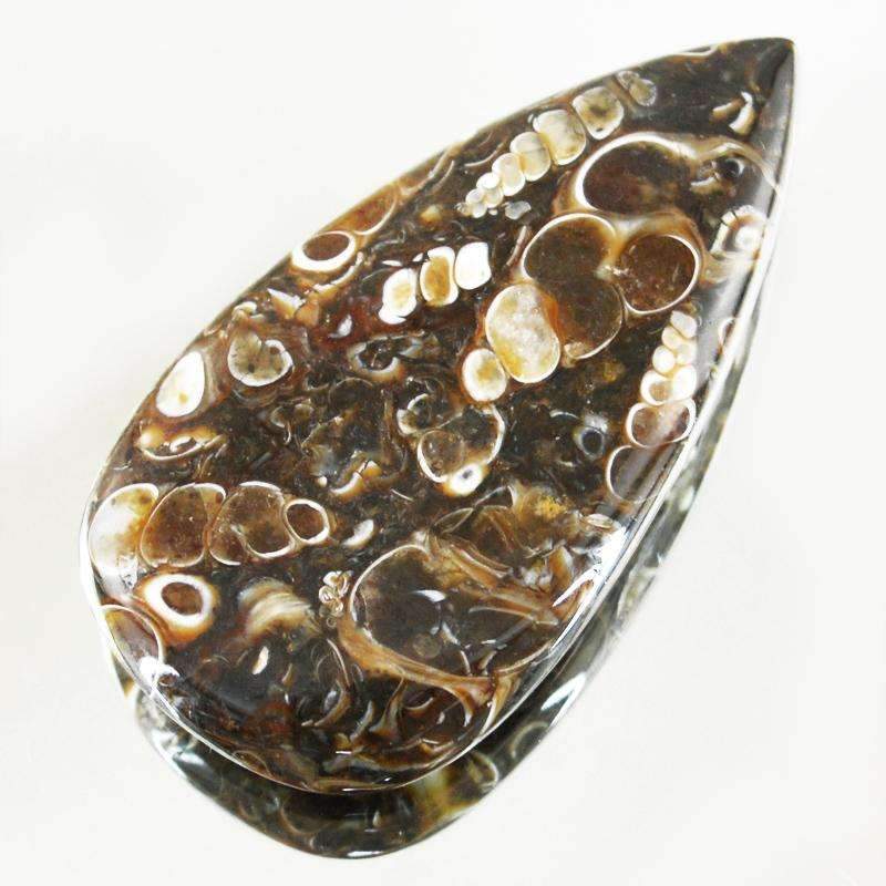 gemsmore:Natural Crinoid Fossil Gemstone - Pear Shape