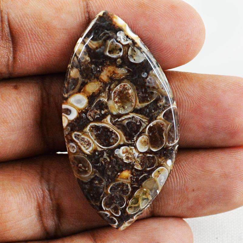 gemsmore:Natural Crinoid Fossil Gemstone Loose Untreated