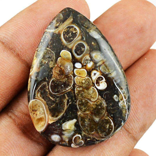 gemsmore:Natural Crinoid Fossil Gemstone Pear Shape