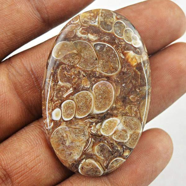 gemsmore:Natural Crinoid Fossil Oval Shape Loose Gemstone