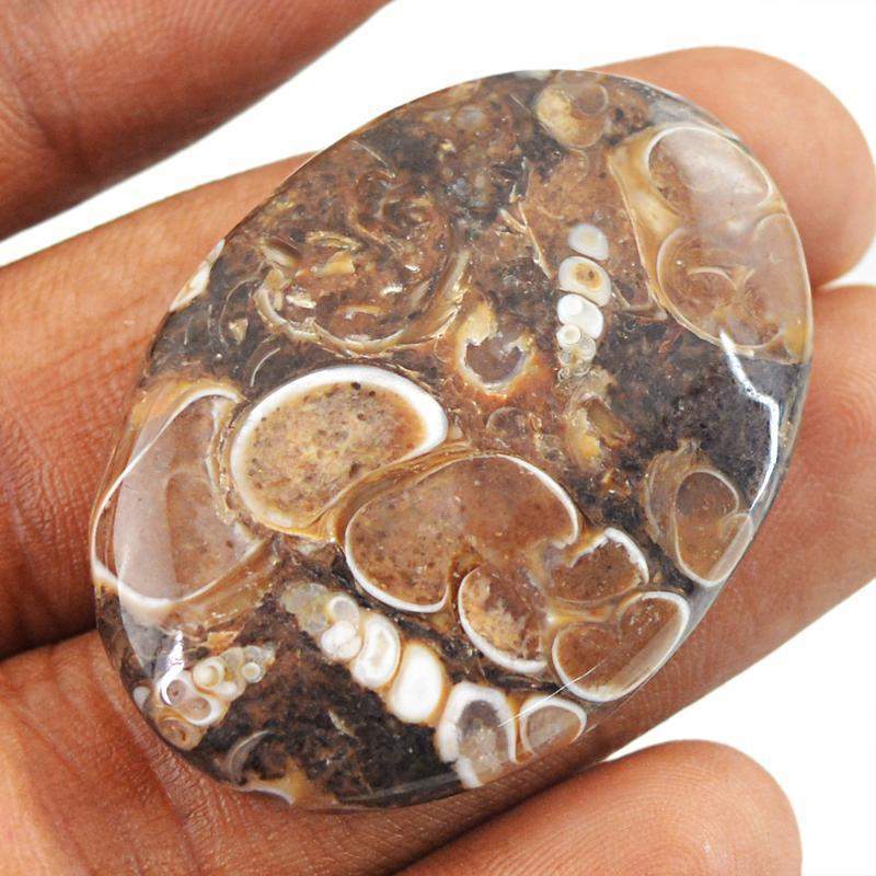 gemsmore:Natural Crinoid Fossil Oval Shape Loose Gemstone