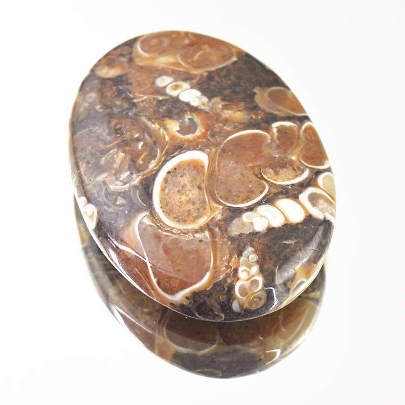 gemsmore:Natural Crinoid Fossil Oval Shape Loose Gemstone