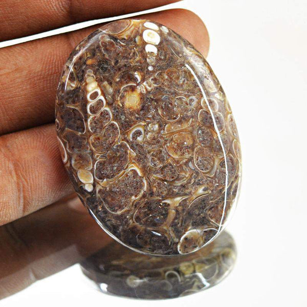 gemsmore:Natural Crinoid Fossil Oval Shape Unheated Gemstone