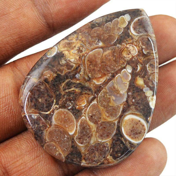 gemsmore:Natural Crinoid Fossil Untreated Pear Shape Gemstone