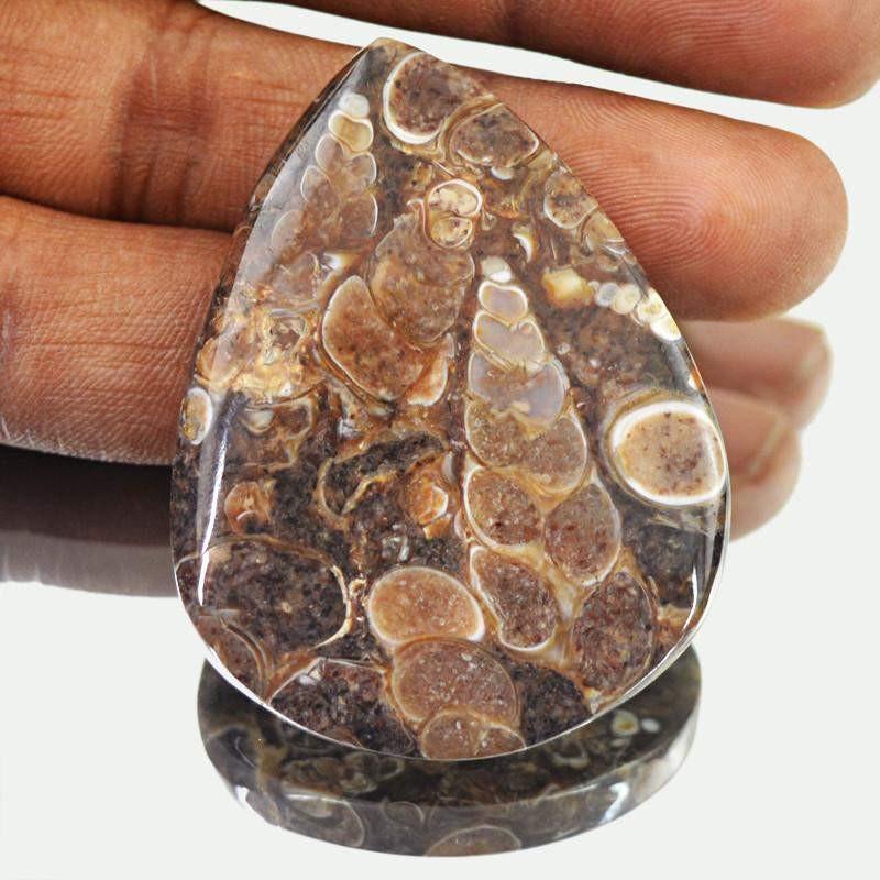 gemsmore:Natural Crinoid Fossil Untreated Pear Shape Gemstone