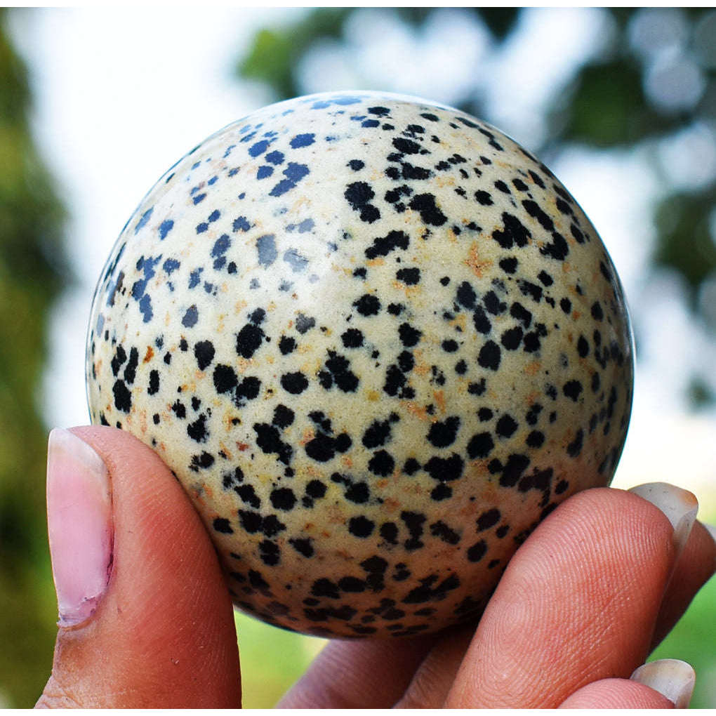 gemsmore:Natural Dalmation Jasper Hand Carved Healing Sphere