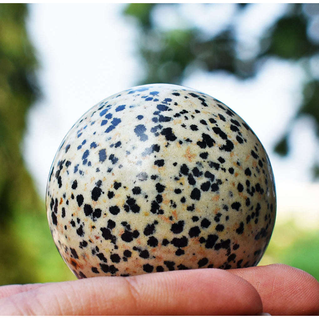gemsmore:Natural Dalmation Jasper Hand Carved Healing Sphere