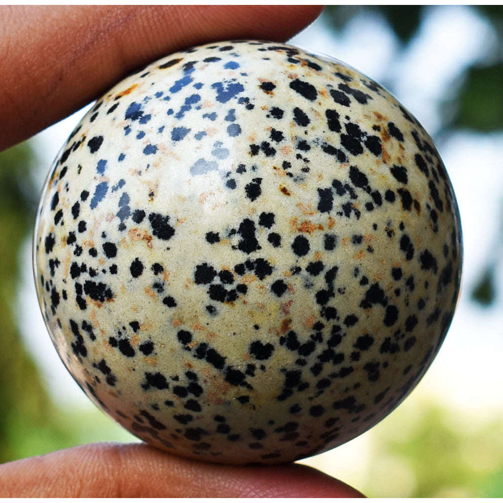 gemsmore:Natural Dalmation Jasper Hand Carved Healing Sphere