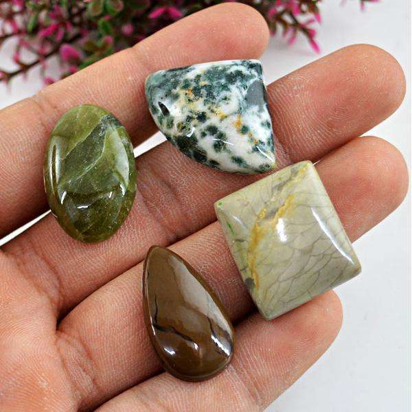gemsmore:Natural Mix Loose Gemstone Lot ( polygram Jasper, Tree Agate, Willow Creek Jasper , Jade)