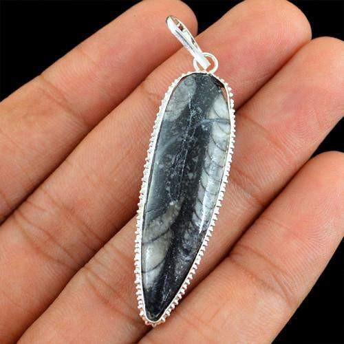 gemsmore:Natural Orthoceras Fossil Designer Pendant