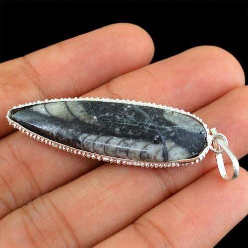 gemsmore:Natural Orthoceras Fossil Designer Pendant