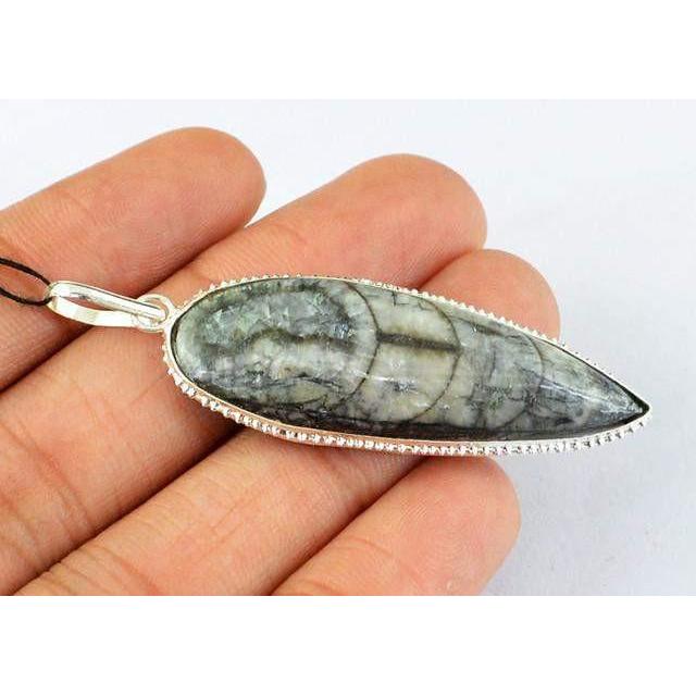 gemsmore:Natural Orthoceras Fossil Pendant