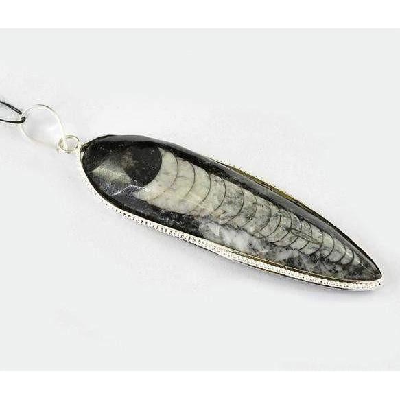 gemsmore:Natural Orthoceras Fossil Pendant