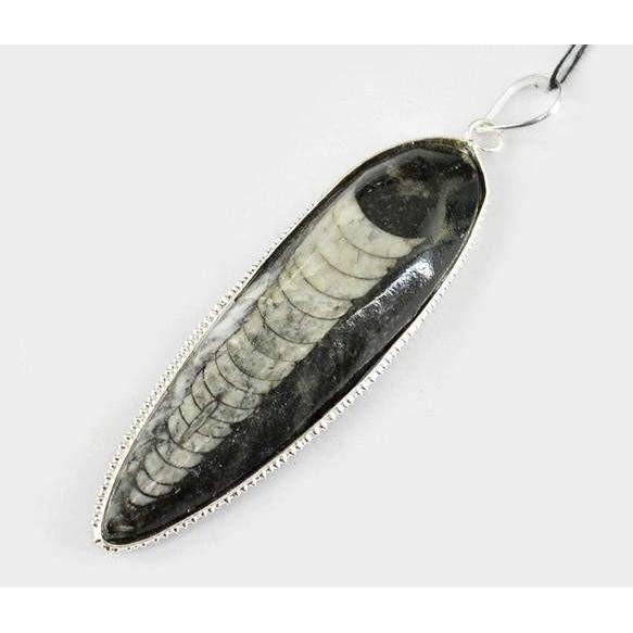 gemsmore:Natural Orthoceras Fossil Pendant