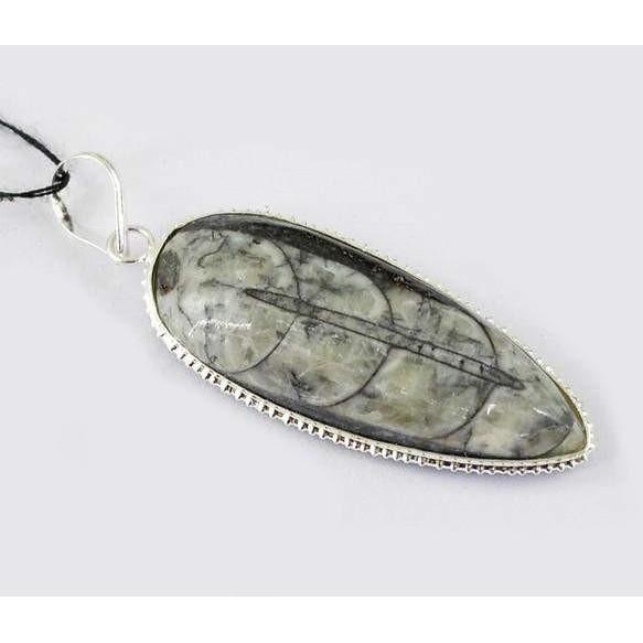 gemsmore:Natural Orthoceras Fossil Pendant