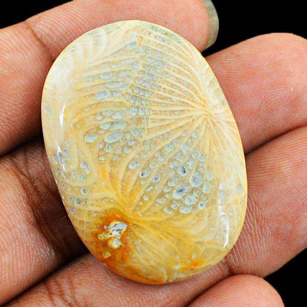gemsmore:Natural Oval Shape Coral Fossil Untreated Loose Gemstone